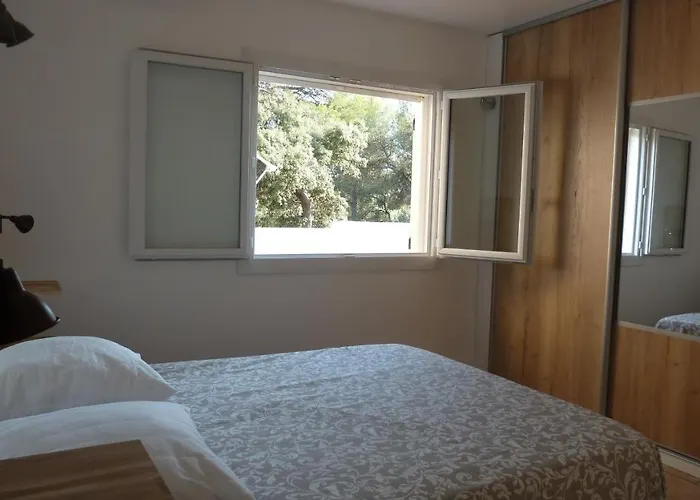 Villa Avec Grande Piscine Et Port De Sanary A Pieds *